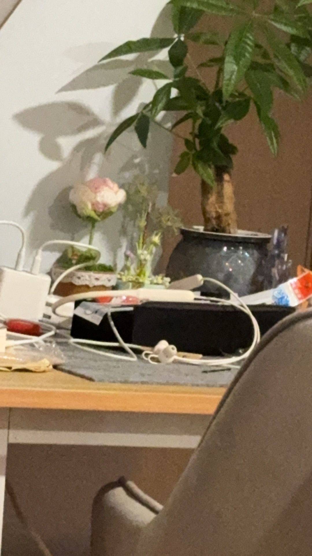 ɢᵒᵒᵈ ɴⁱᵍʰᵗ🌟整租房源3