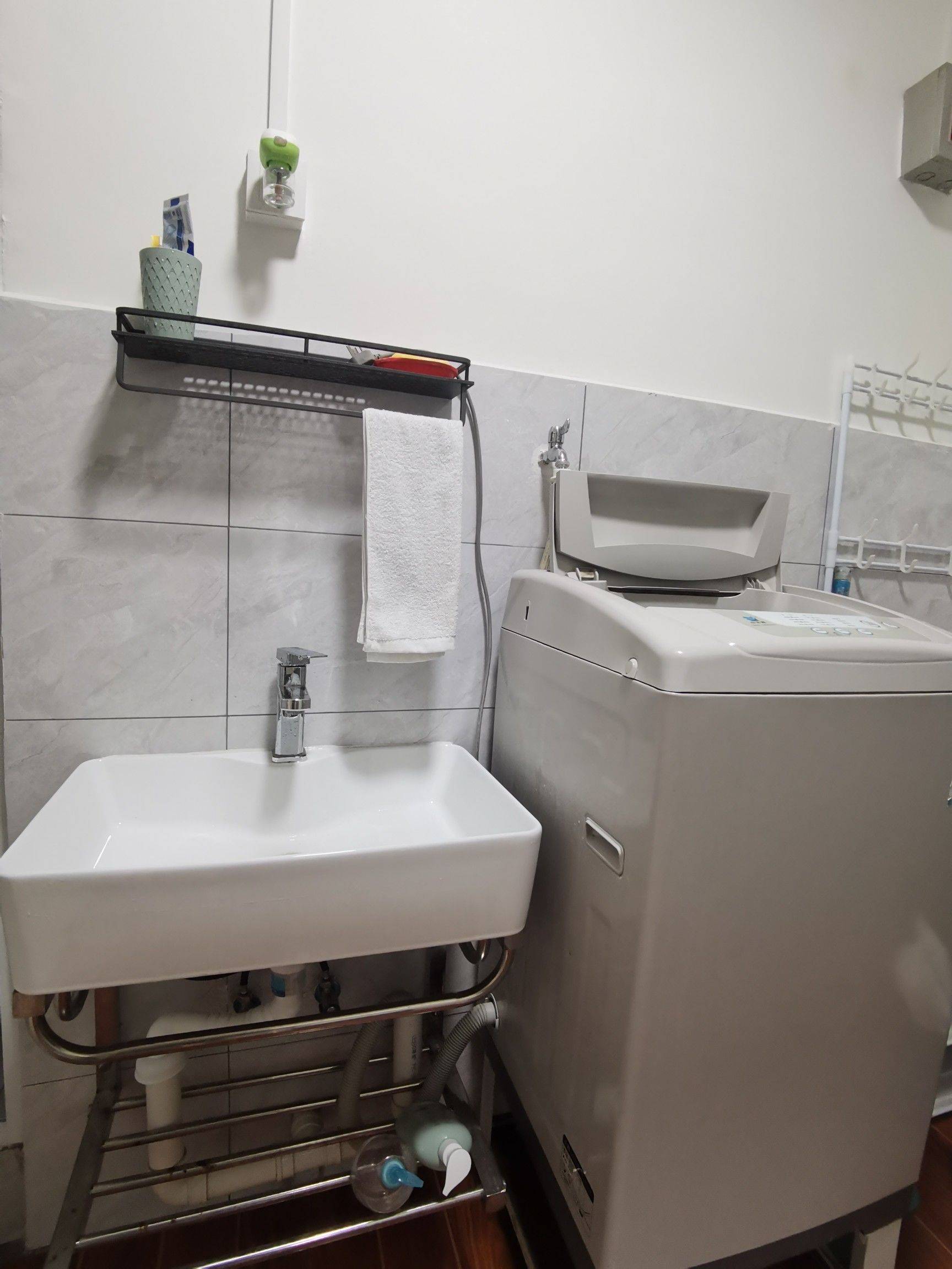 Beijing-Fengtai-Pet Friendly