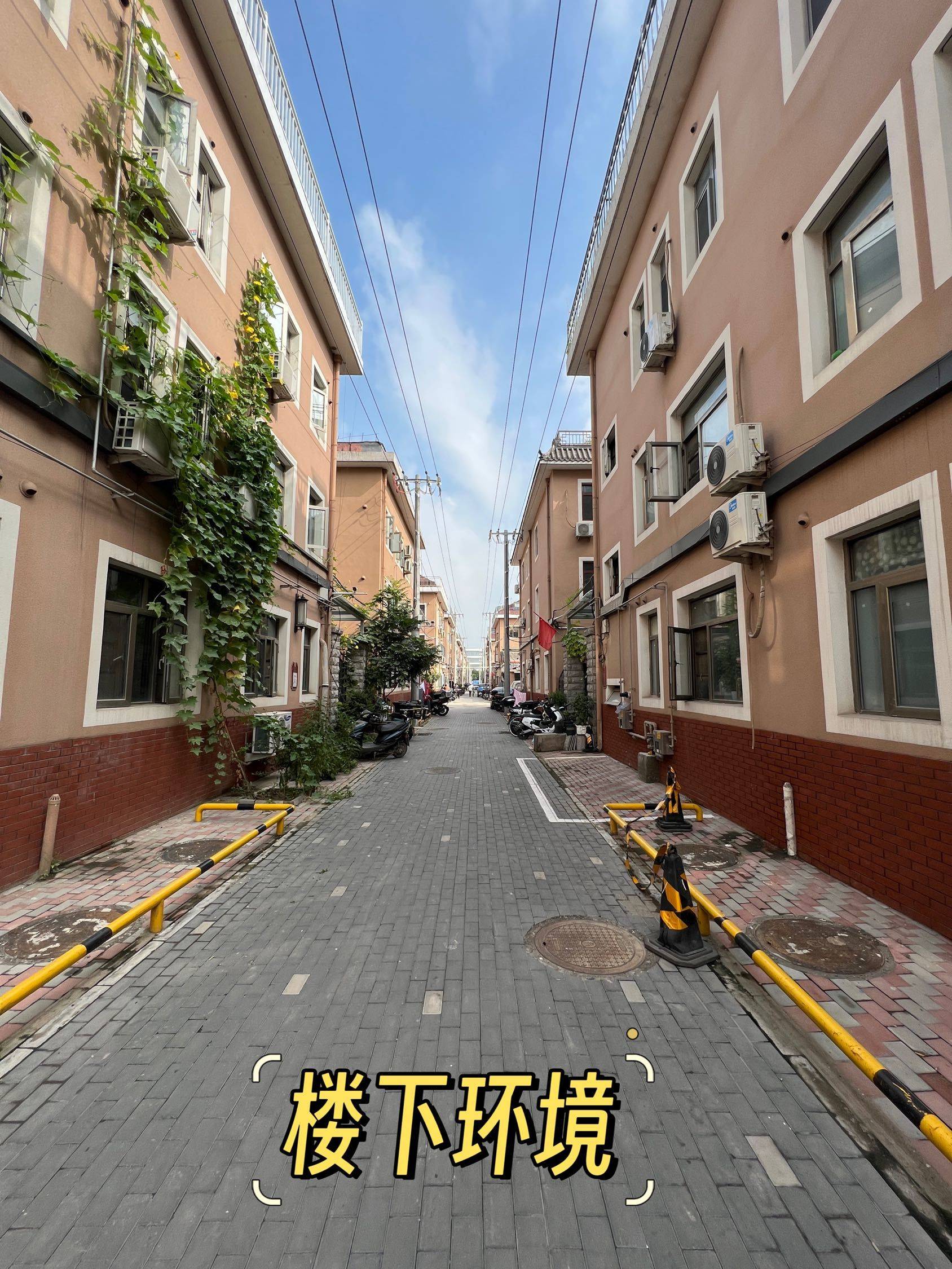Beijing-Chaoyang-Cozy Home,Clean&Comfy,No Gender Limit,Hustle & Bustle,“Friends”,Chilled,Pet Friendly