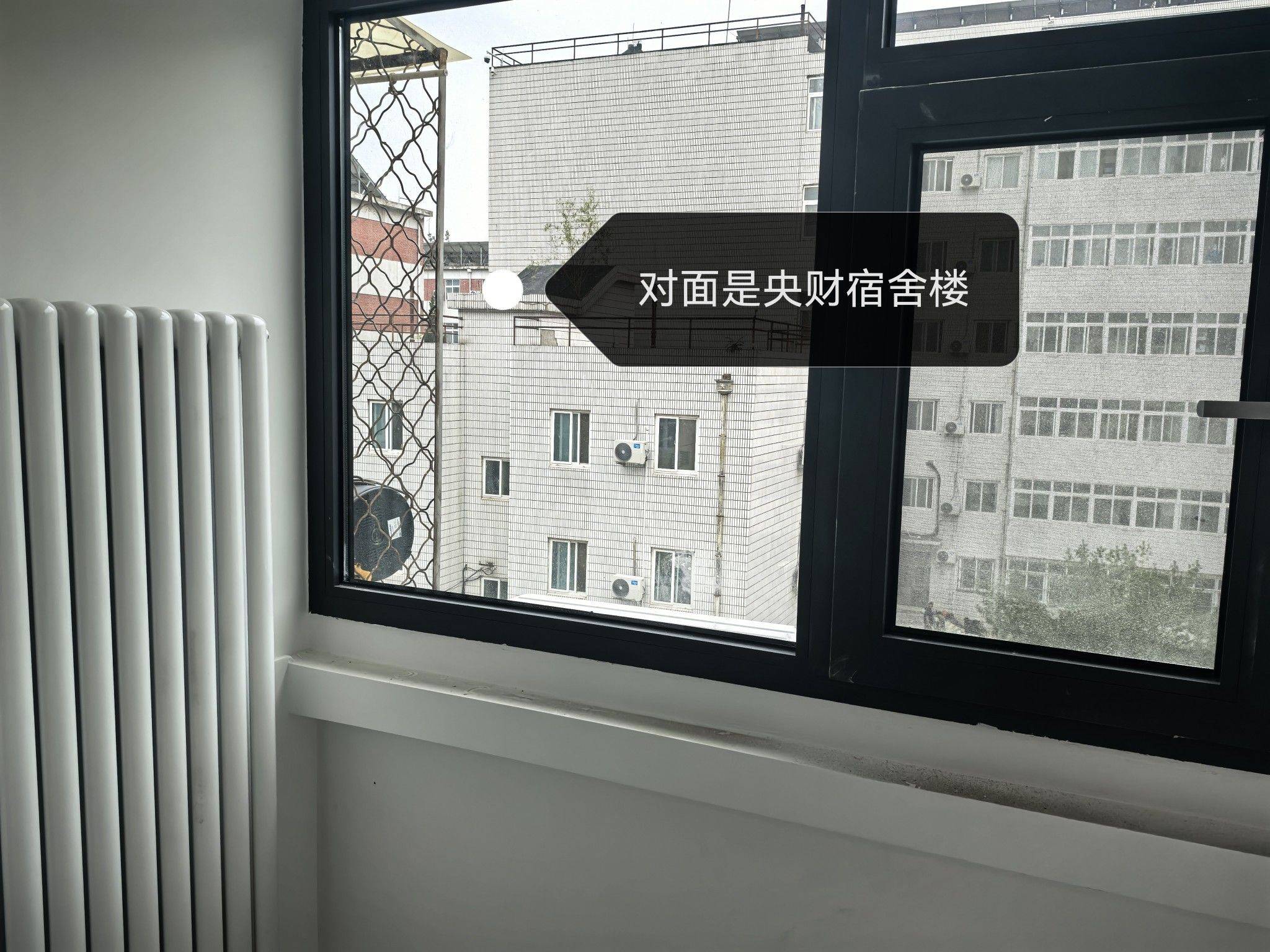 北京-海淀-溫馨小窩,乾淨治愈,不限性別,市井煙火氣,慢時光,寵物友好
