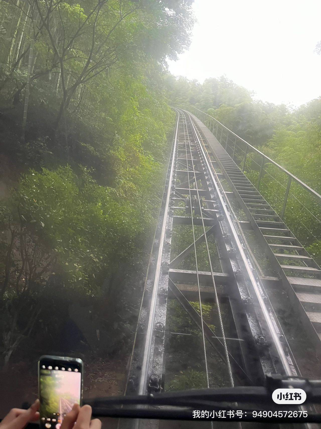 飞舞的梦