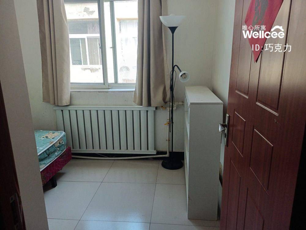 Beijing-Chaoyang-Pet Friendly