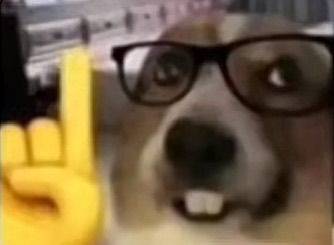 明泽