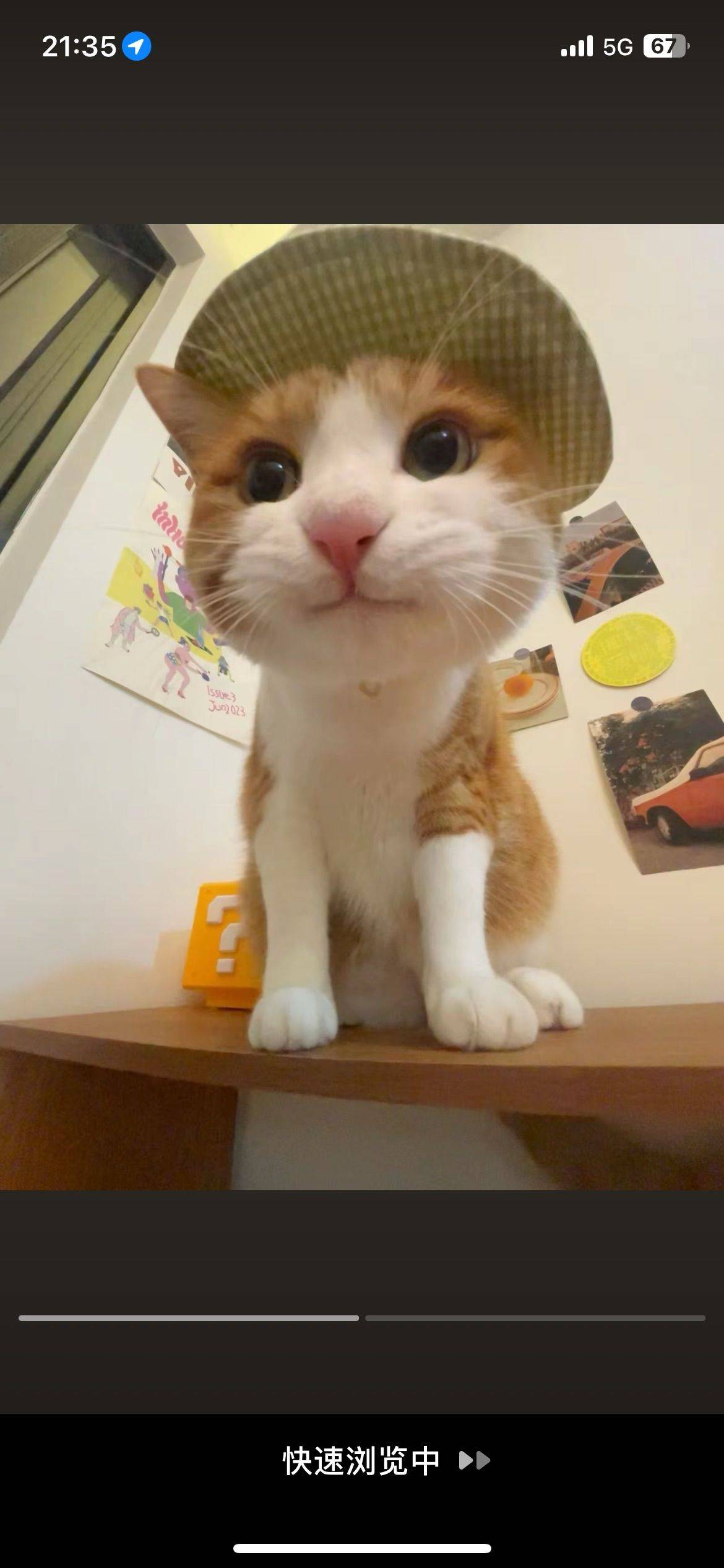 杜