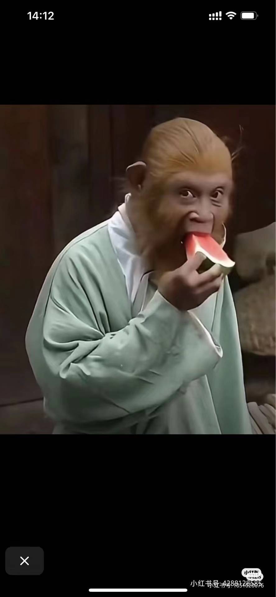 啦啦啦