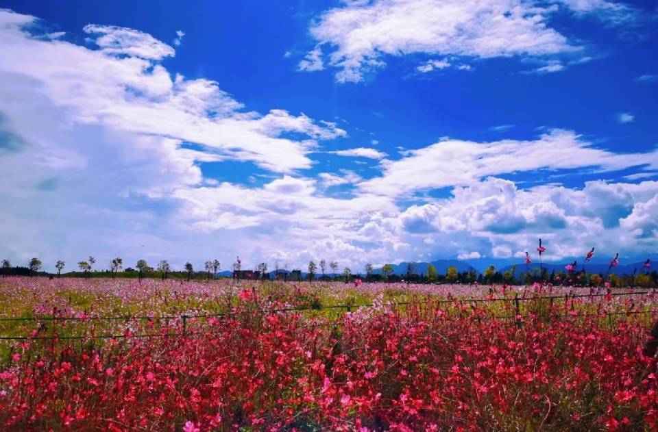 快乐的小肥啾整租房源3