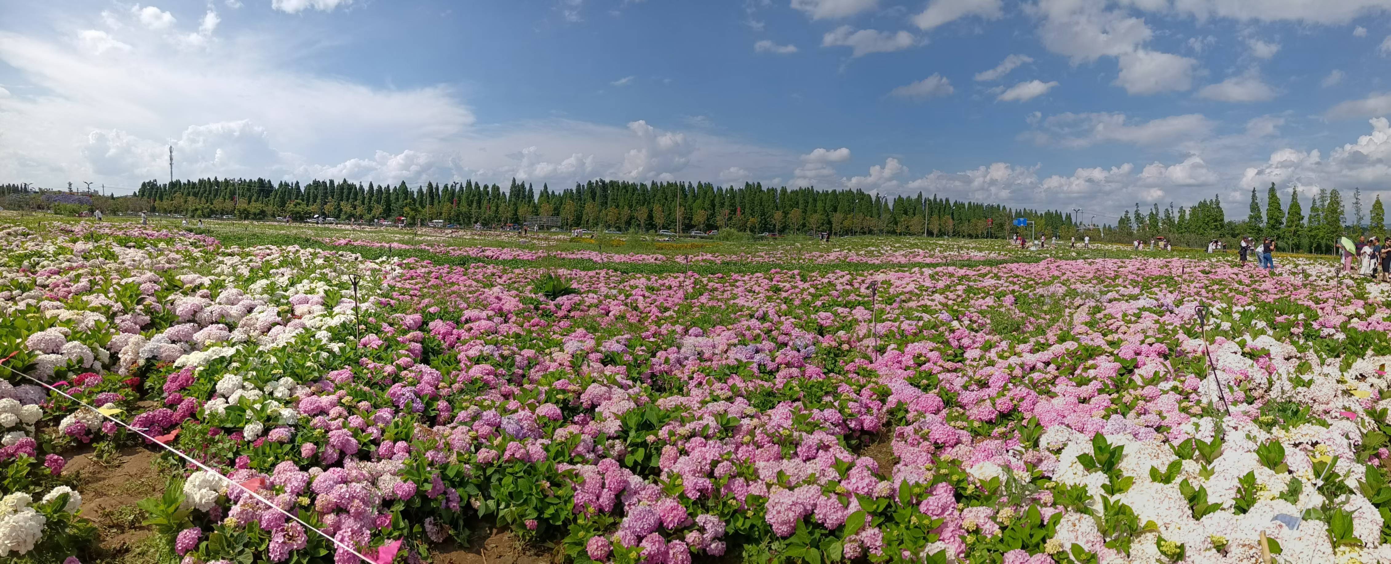 昆明 官渡 | 万科·翡翠滨江5期_5