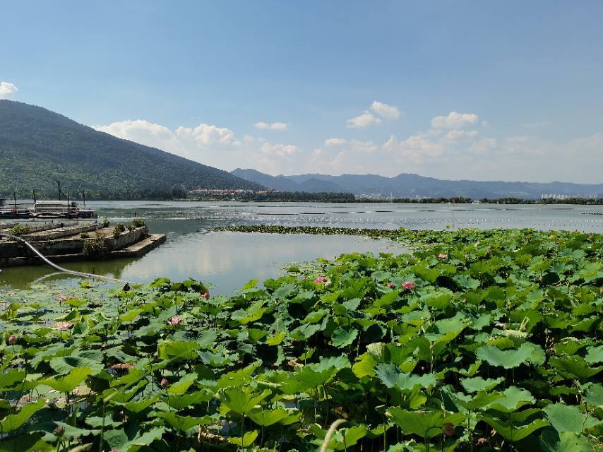 昆明 官渡 | 万科·翡翠滨江5期_7