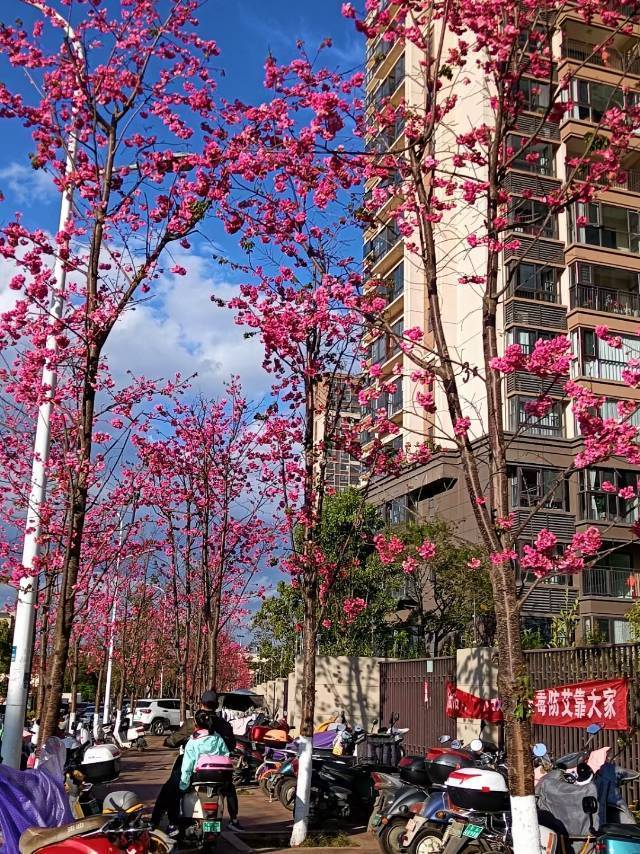 昆明 官渡 | 万科·翡翠滨江5期_6