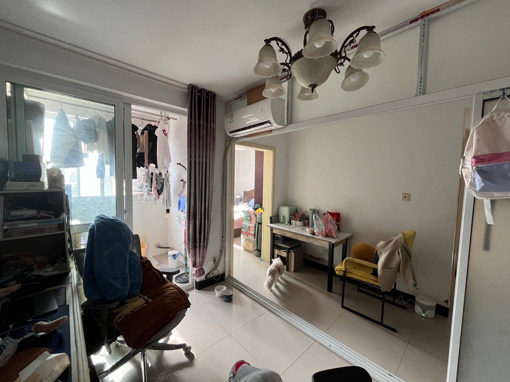 Shanghai-Pudong-Cozy Home,Clean&Comfy,No Gender Limit