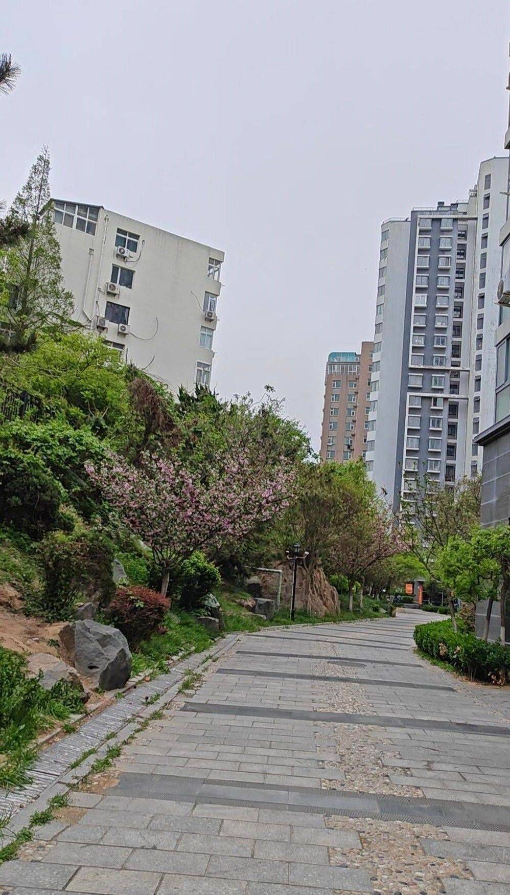 Qingdao-Shibei-Cozy Home,Clean&Comfy,No Gender Limit,Hustle & Bustle,“Friends”,Chilled,LGBTQ Friendly,Pet Friendly