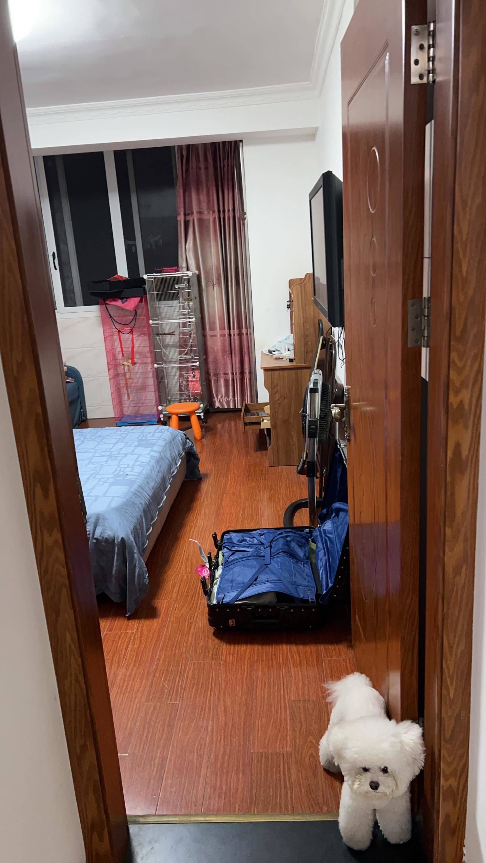 Shanghai-Pudong-Cozy Home,Clean&Comfy