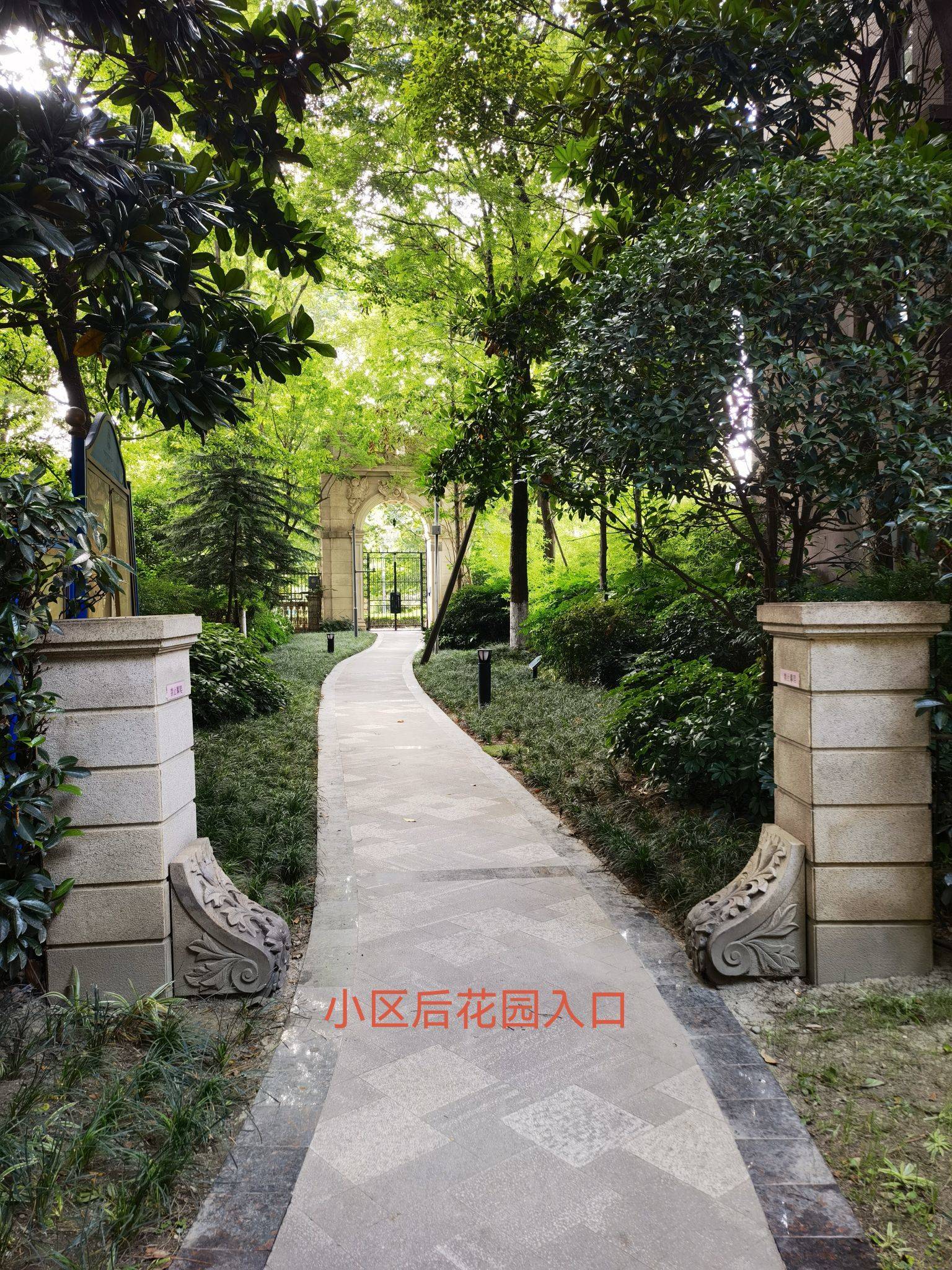 life_photo_2