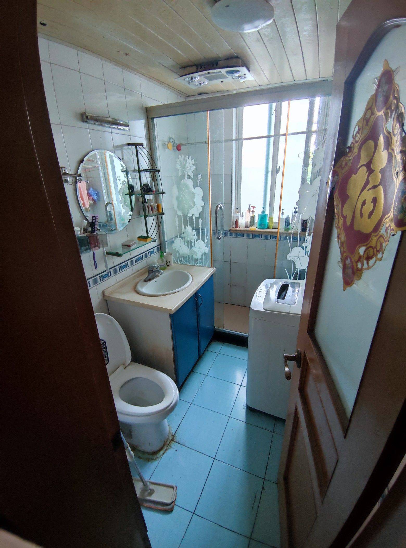 上海-闵行-七莘路地铁站,整租公寓,宠物友好