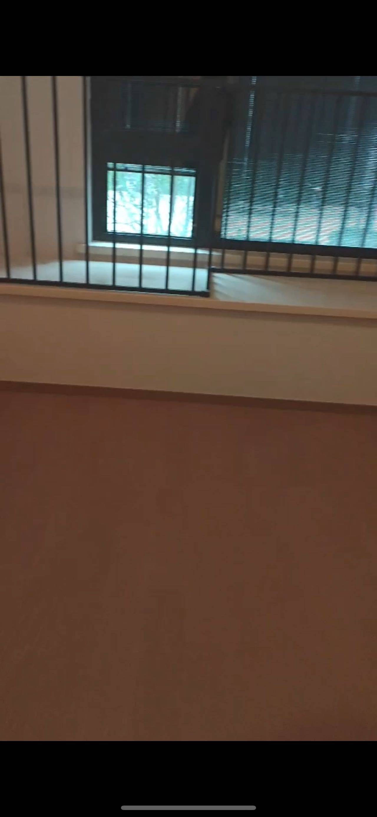 上海-寶山-溫馨小窩,乾淨治愈,不限性別,市井煙火氣,老友記,慢時光,LGBTQ友好,寵物友好