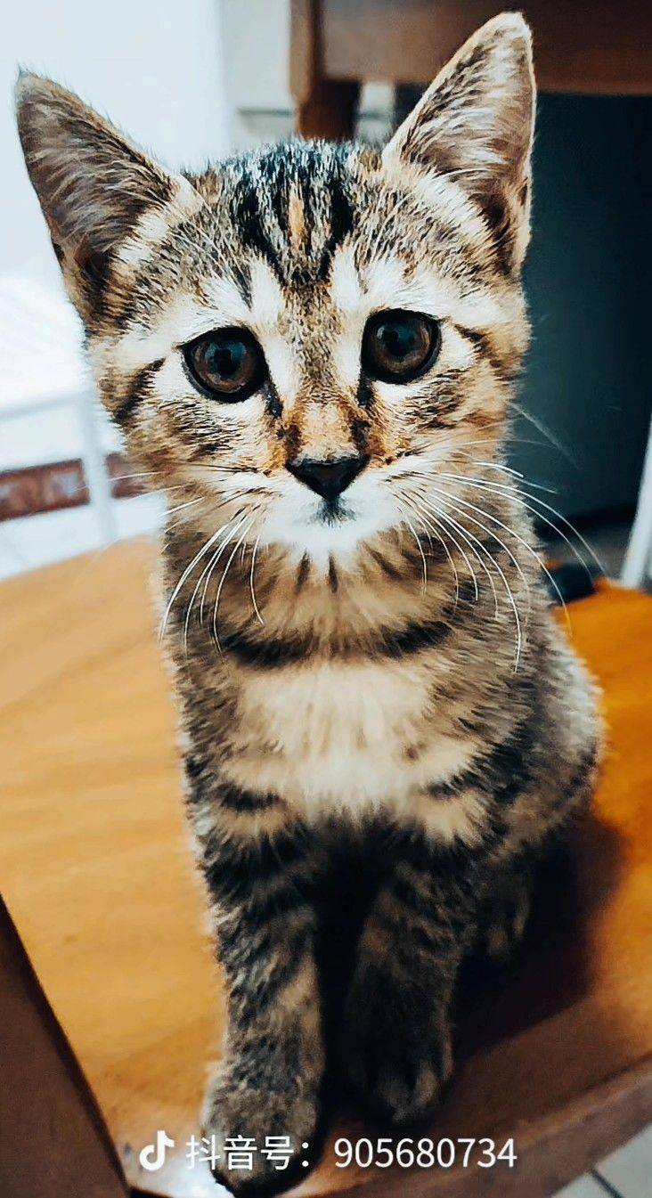 赵先生