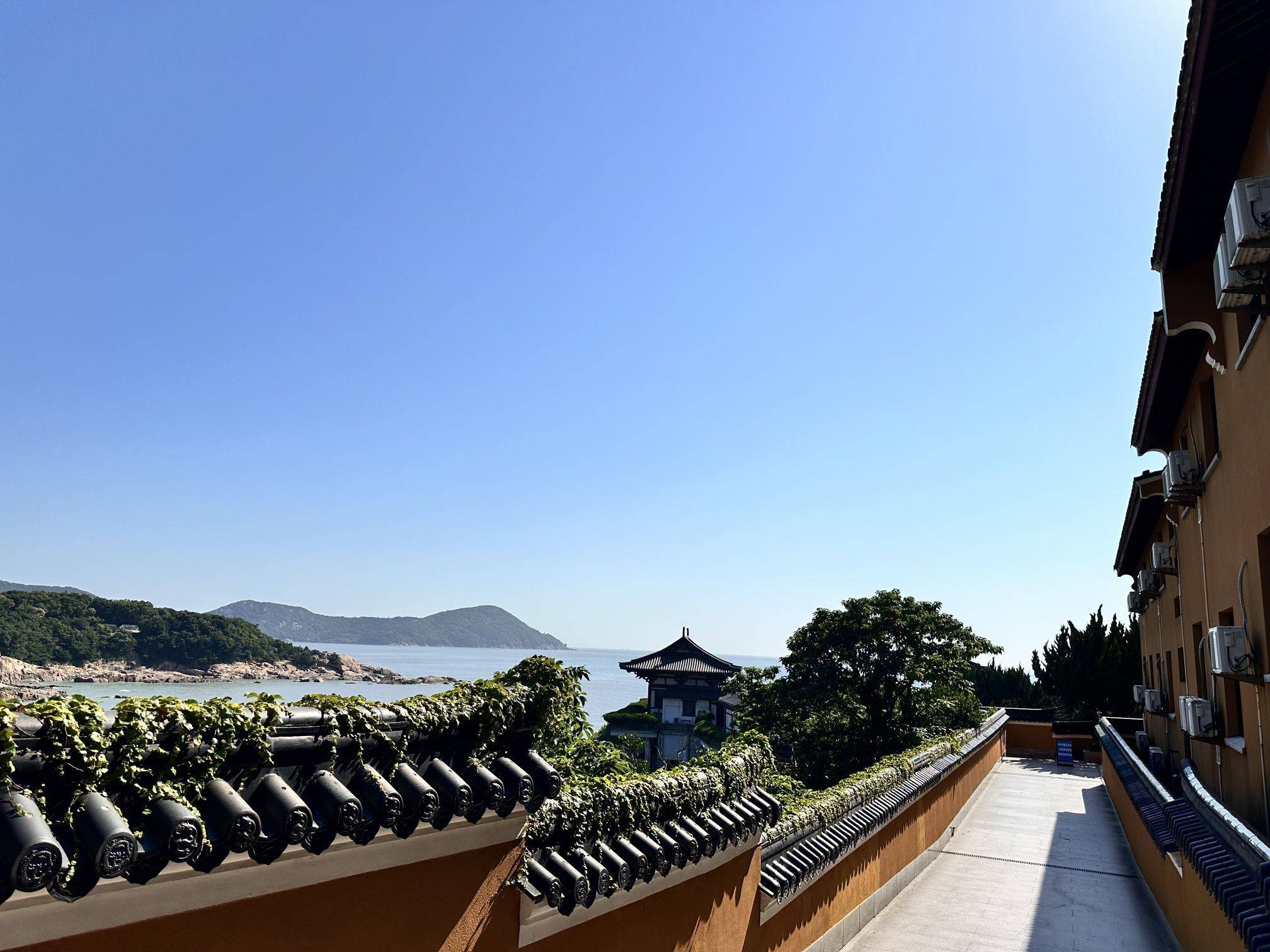 沫兮你好