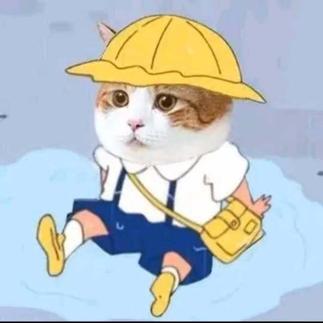 等风也等你