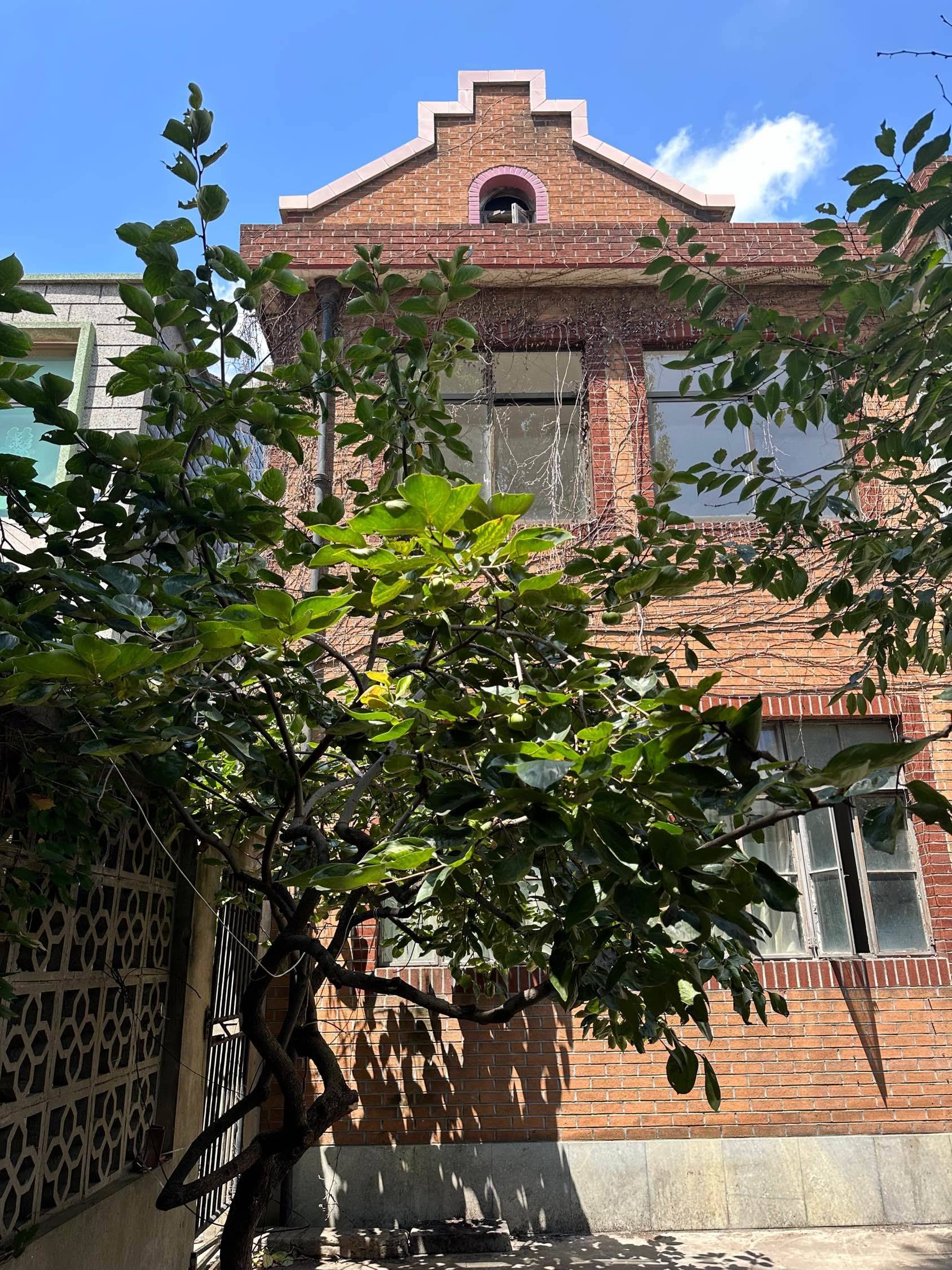 Shanghai-Pudong-200RMB/Night,Cozy Home,Clean&Comfy