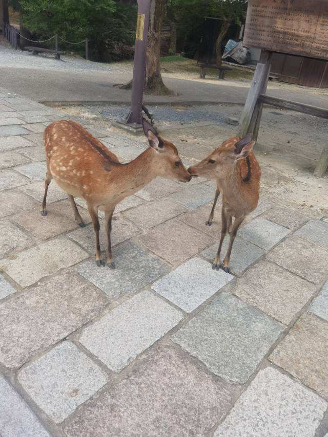 我的小屋