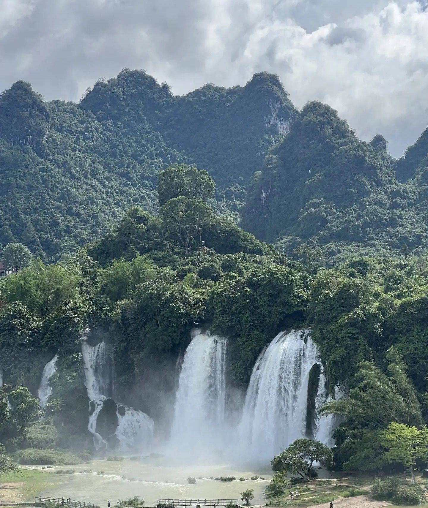 风雨飘摇