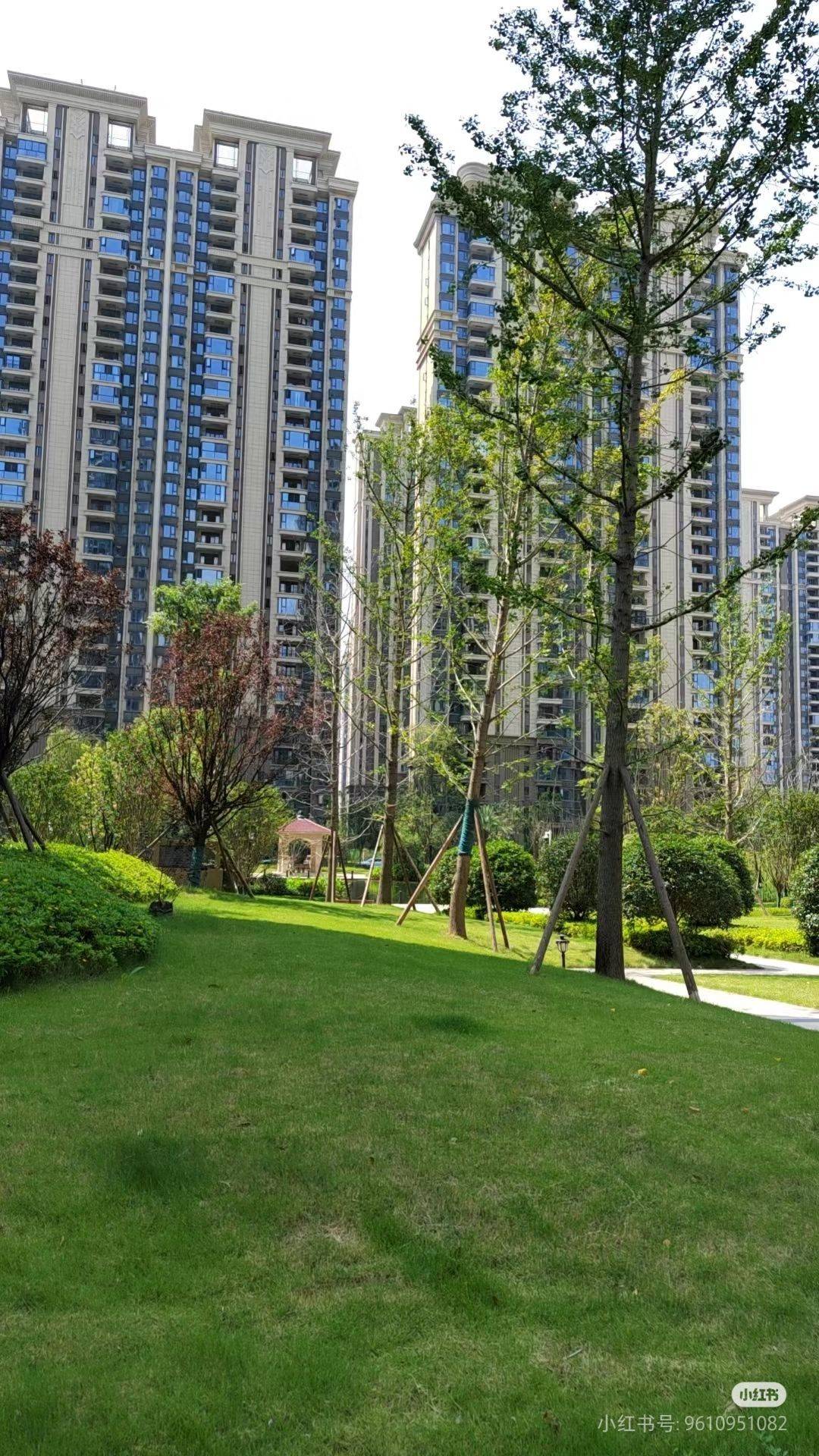 Chengdu-Tianfu-限男生,拒绝宠物,Cozy Home,Clean&Comfy