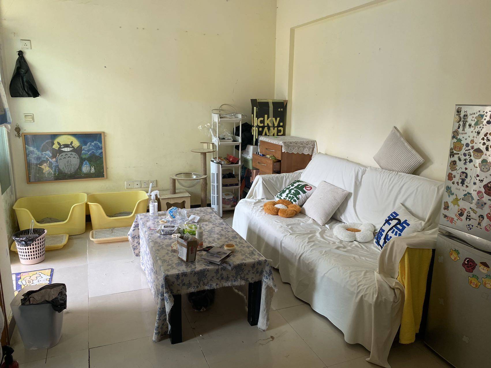 Dongguan-Dongcheng-Cozy Home,No Gender Limit,Pet Friendly