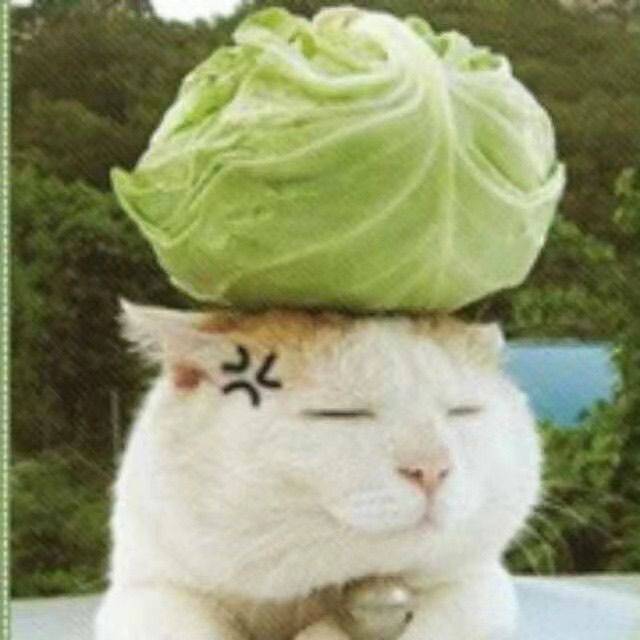 何书兰
