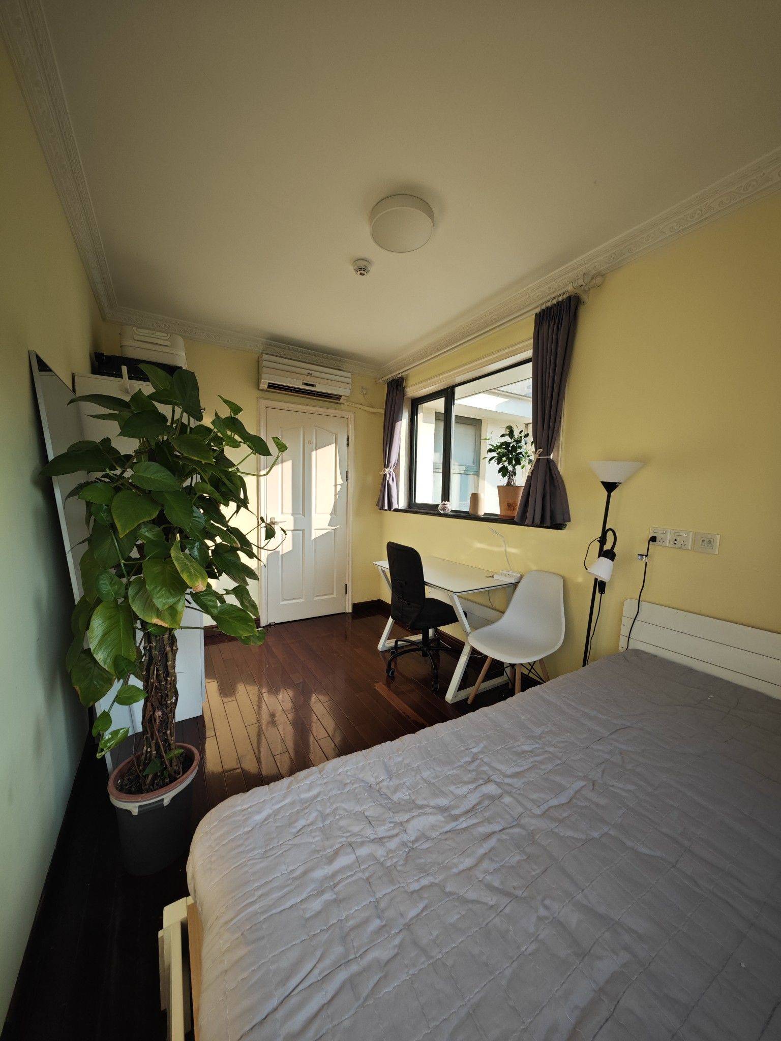 Shanghai-Xuhui-Cozy Home,Clean&Comfy,Hustle & Bustle,Pet Friendly