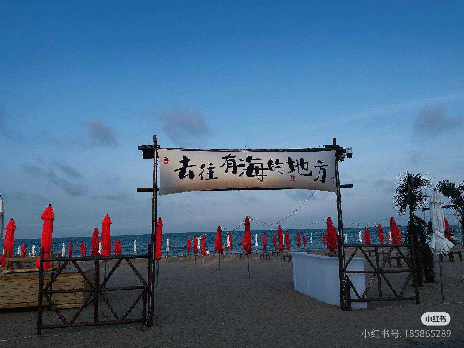 林老师