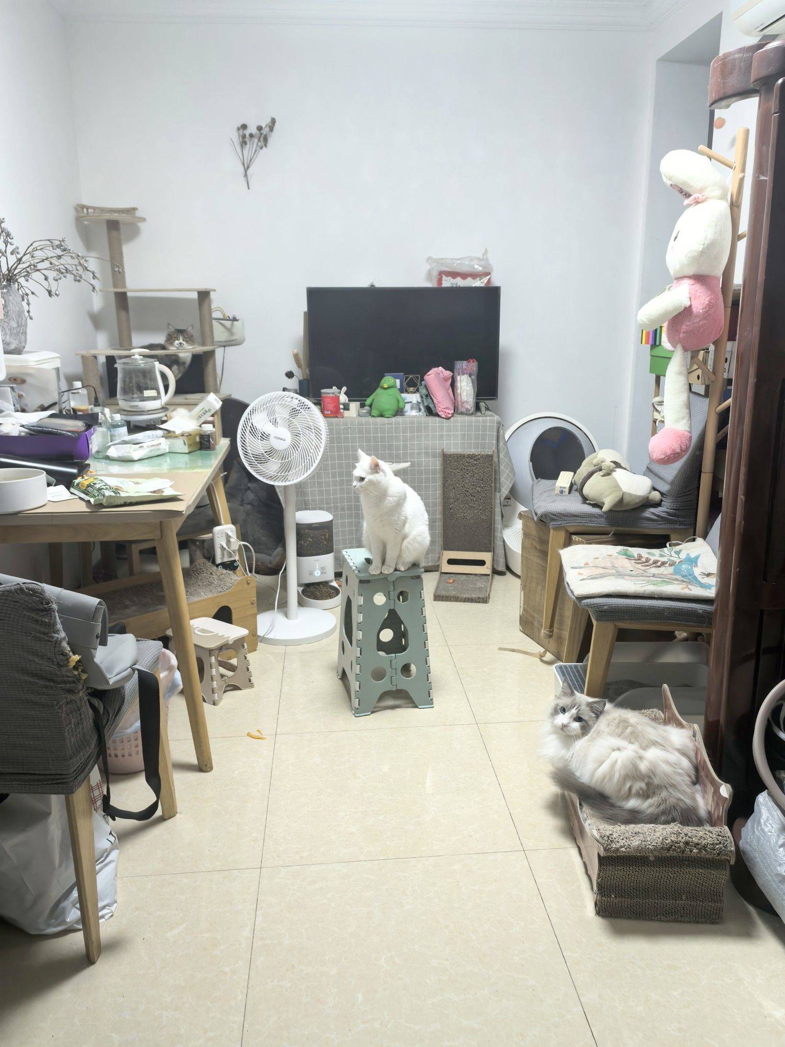 Shanghai-Xuhui-Cozy Home,Clean&Comfy