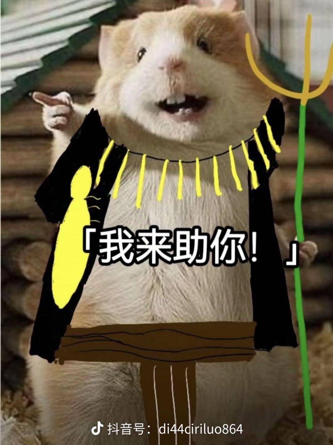 ౿(།﹏།)૭