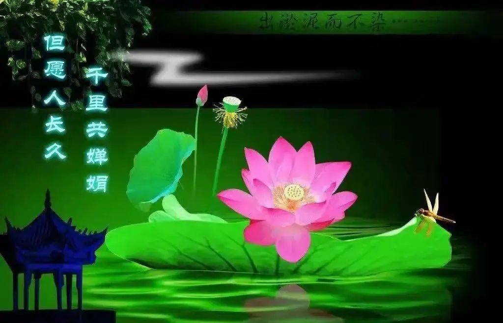 星雨