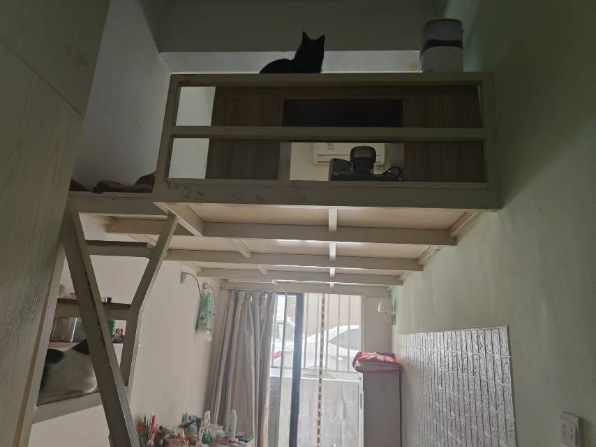 Shenzhen-BaoAn-Cozy Home,No Gender Limit,Pet Friendly