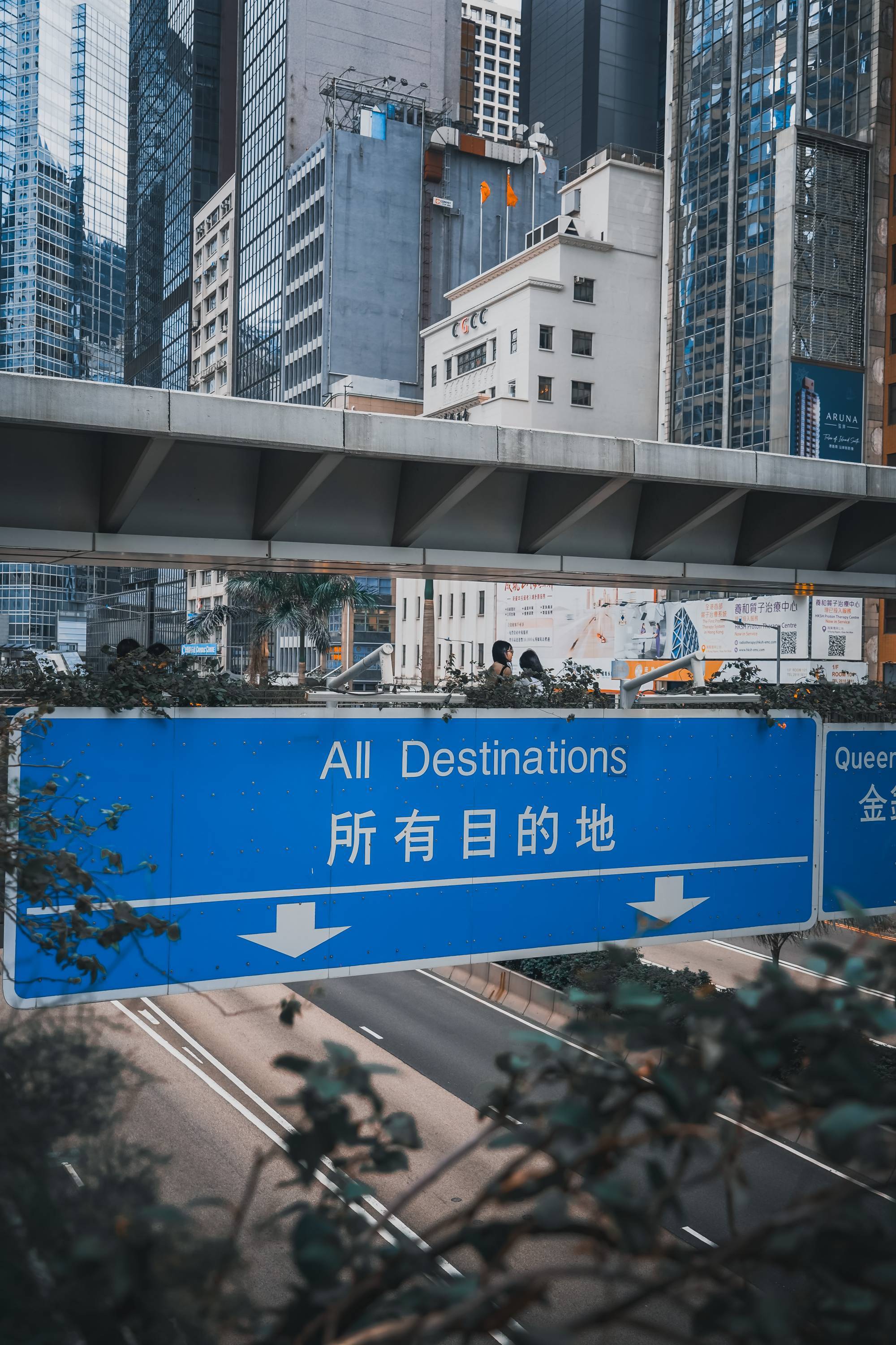 一枚奋斗中的卤蛋