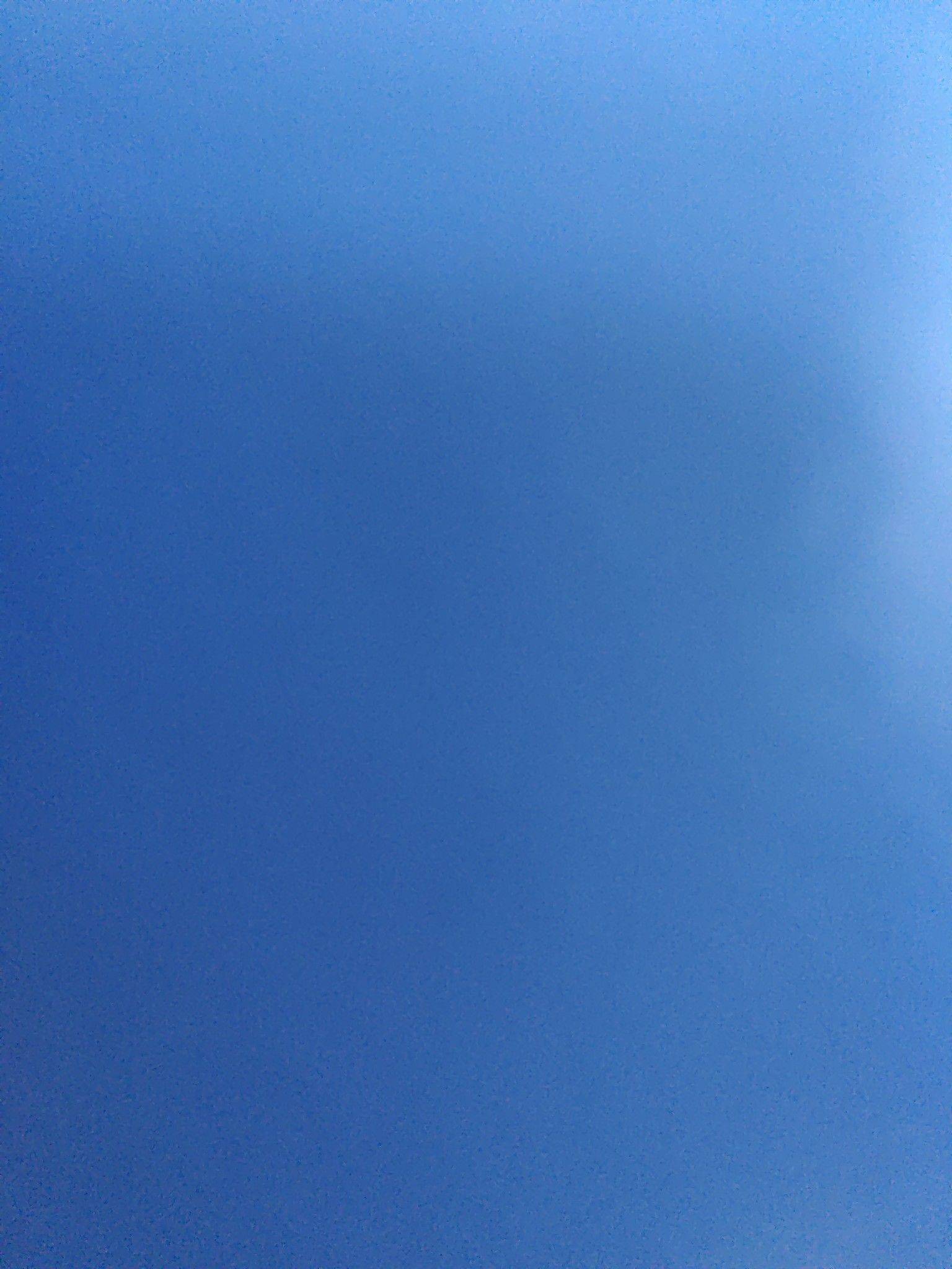 定仙游