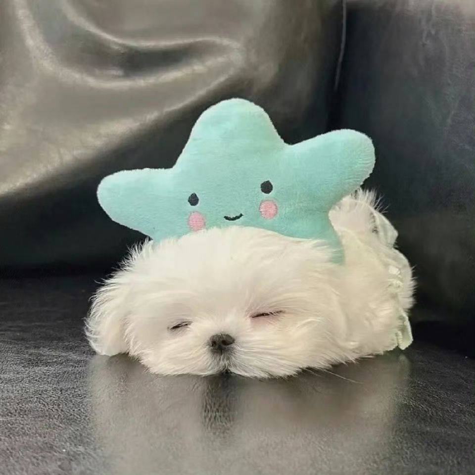 懒懒