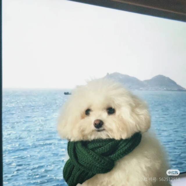 温泉饭