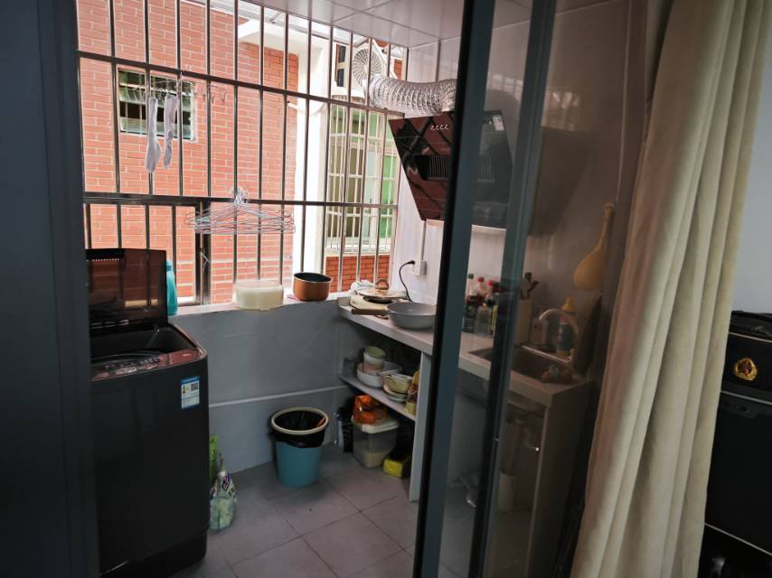 Dongguan-Nancheng-Pet Friendly