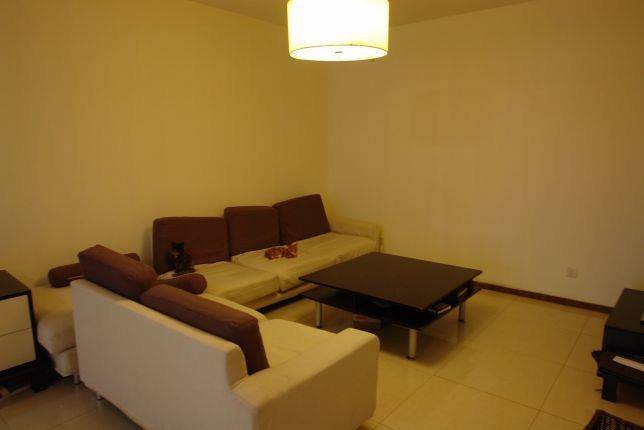 Shanghai-Jing‘An-Cozy Home,Clean&Comfy,No Gender Limit,LGBTQ Friendly,Pet Friendly