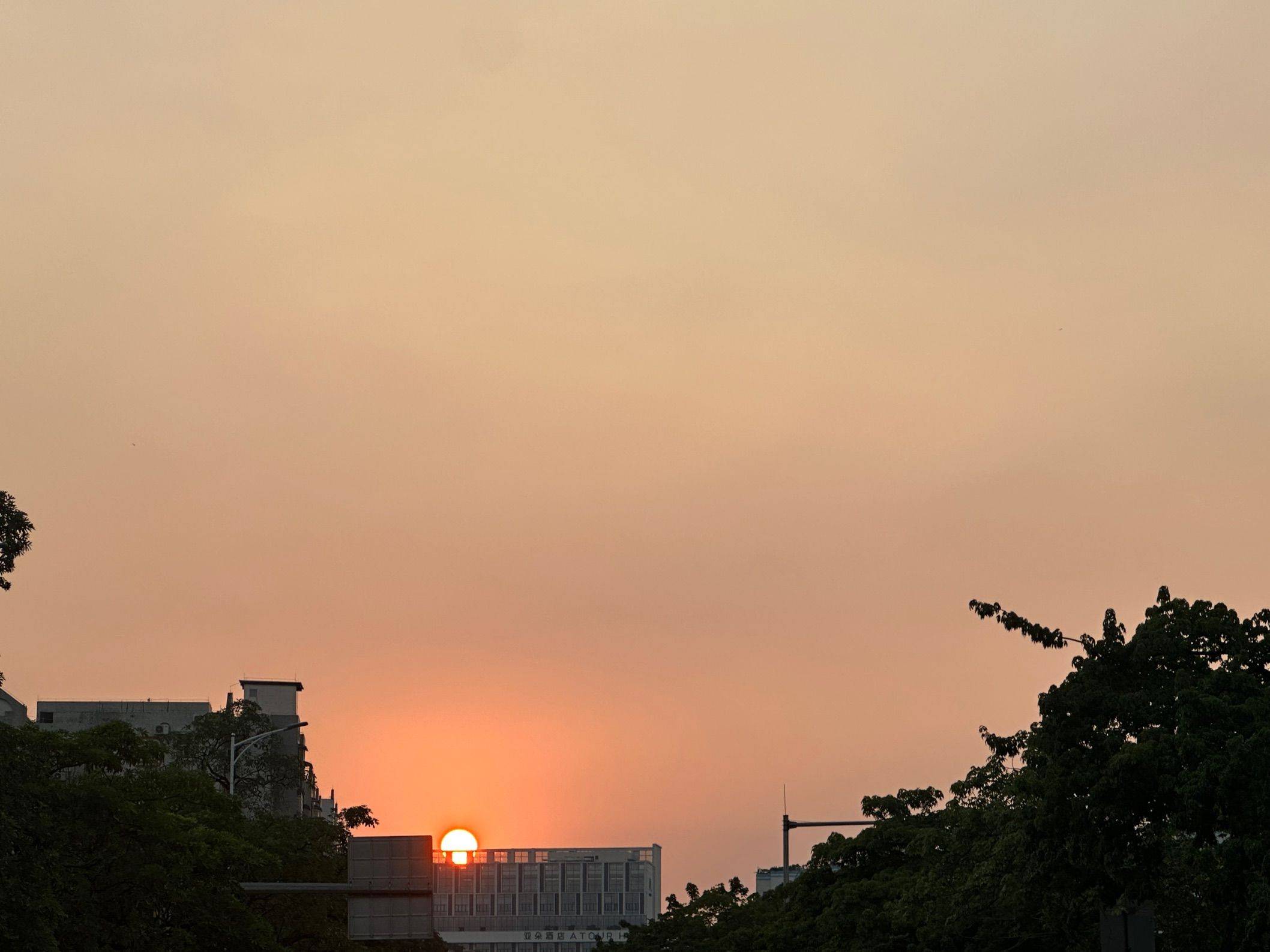 广州-白雲-主打的就是一个性价比