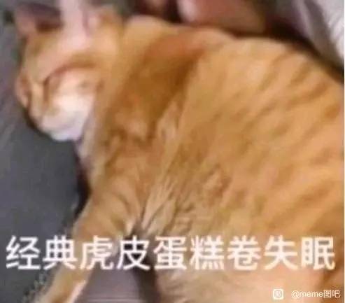观星飞人
