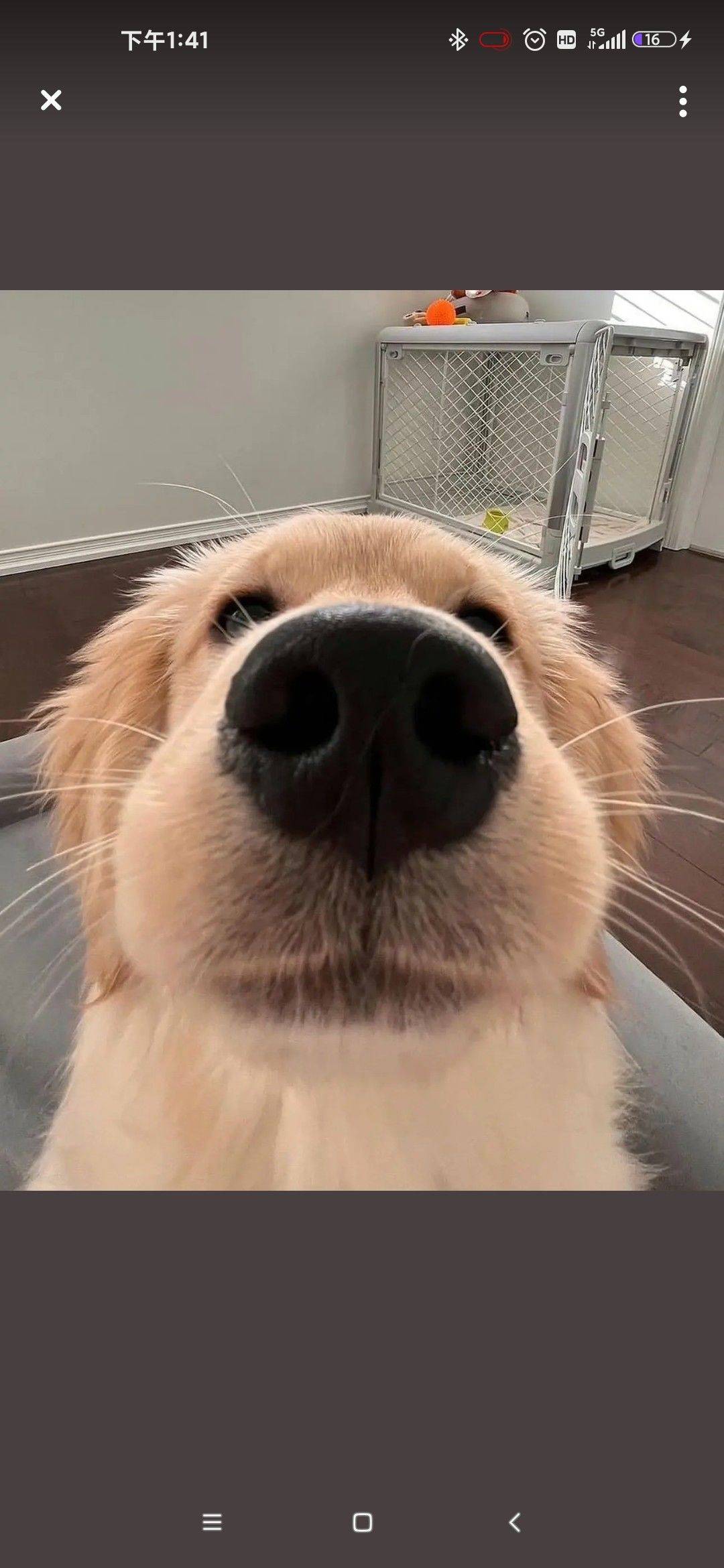 mu阿莎纱驾到，通通闪开！