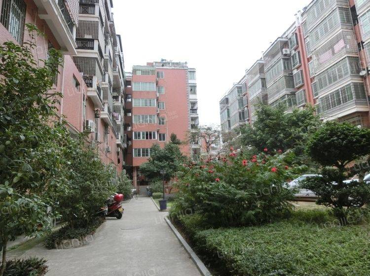 Xiamen-Tong'An-Cozy Home,Clean&Comfy,No Gender Limit,Hustle & Bustle,“Friends”,Chilled