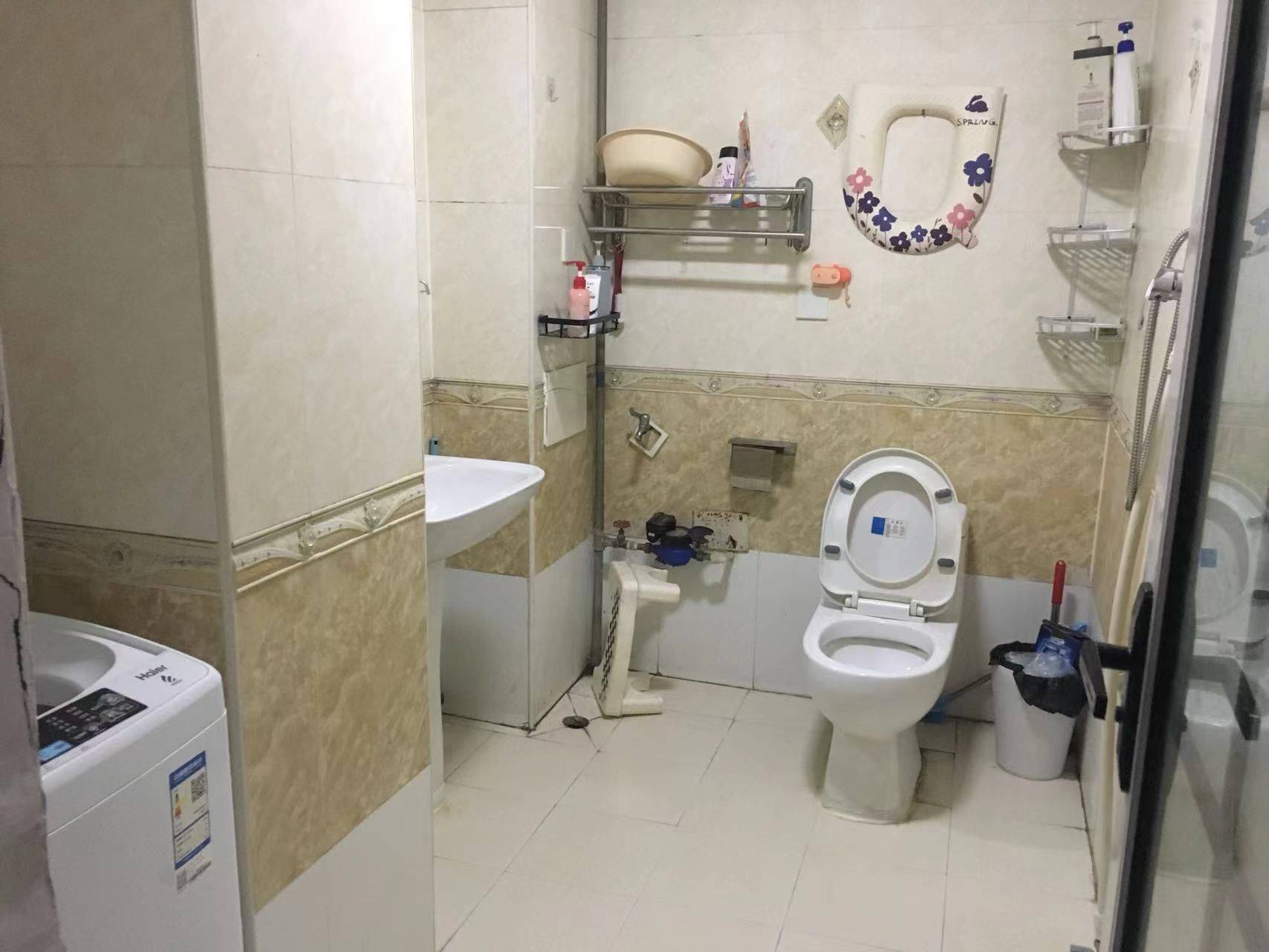 Beijing-Chaoyang-Pet Friendly