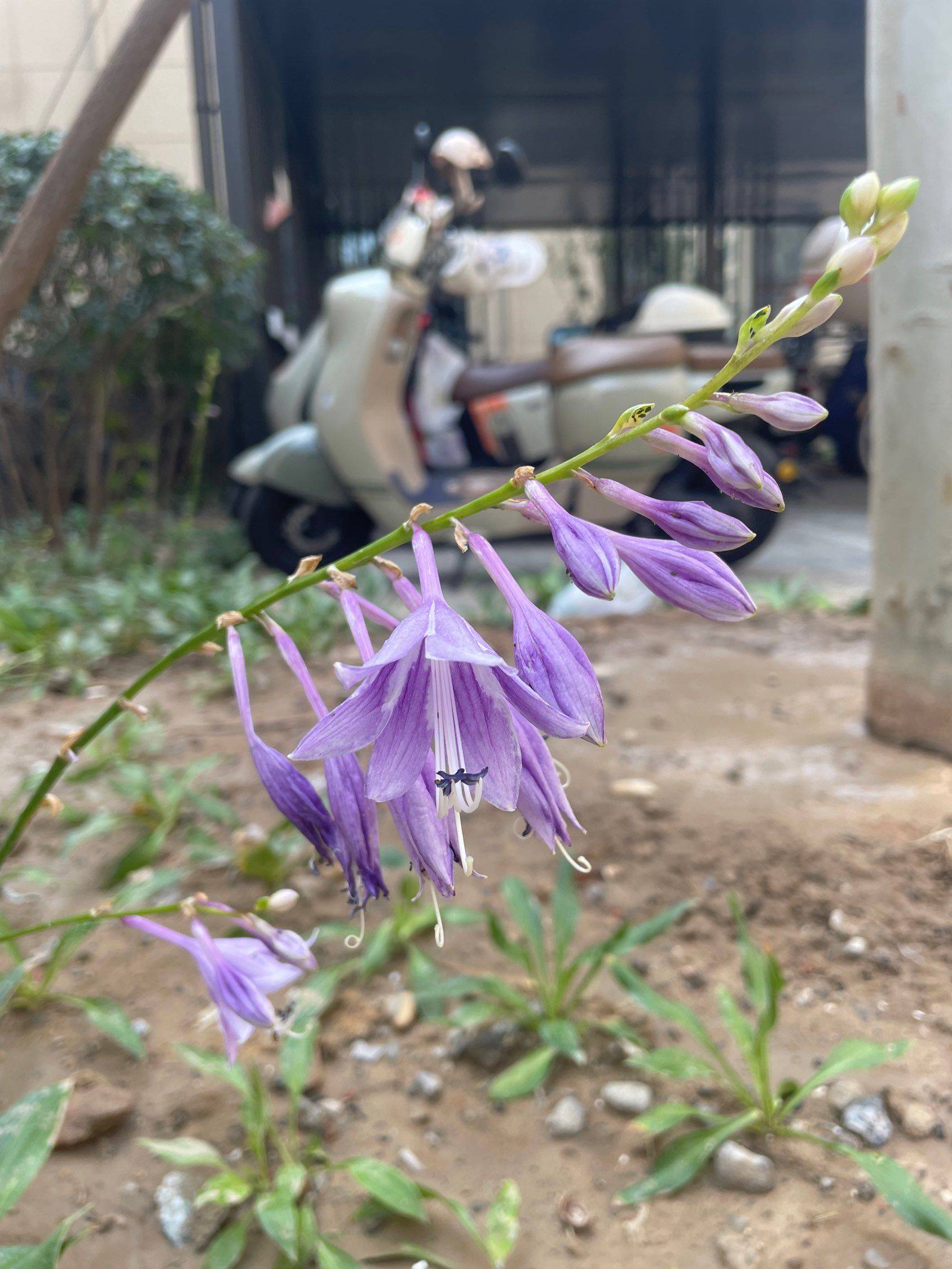 Beijing-Chaoyang-Cozy Home,Clean&Comfy