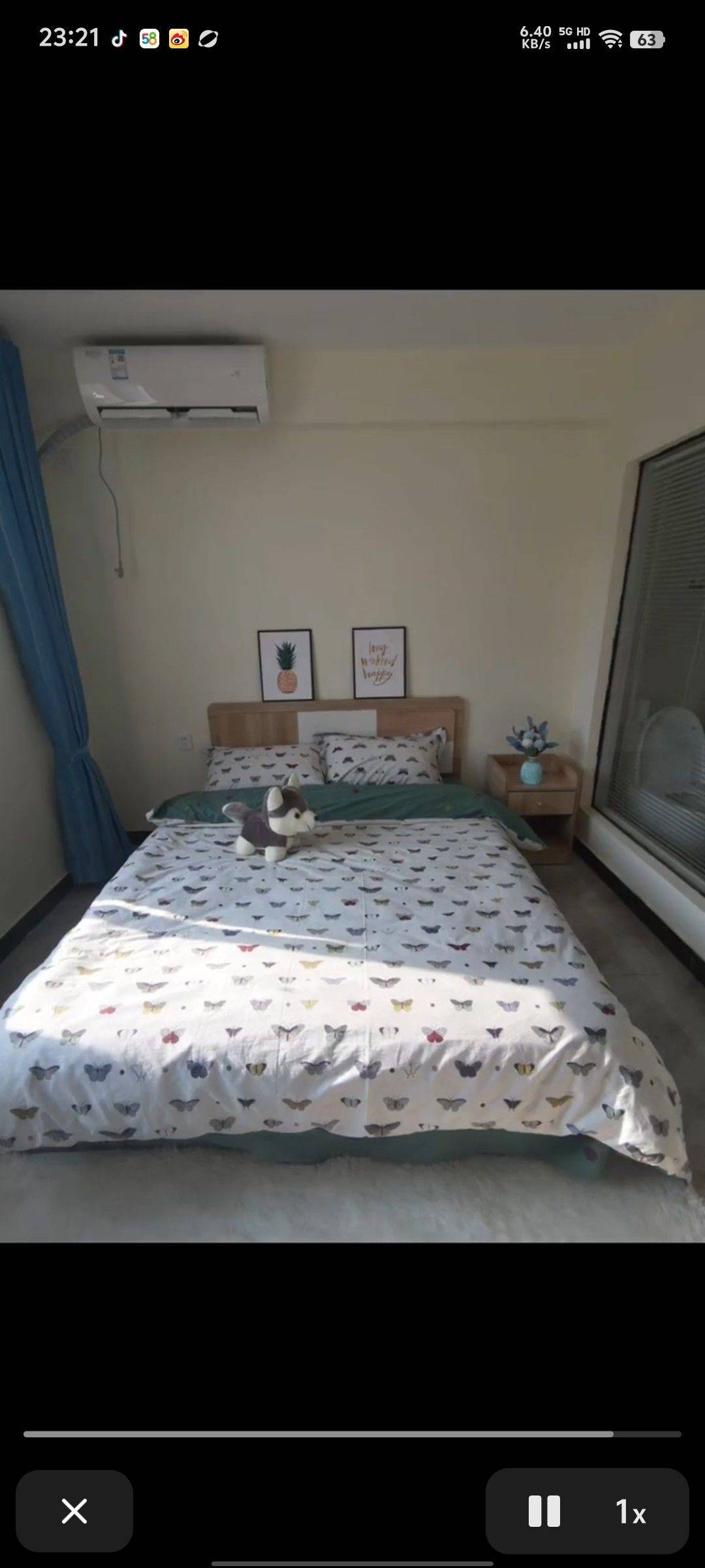 Beijing-Daxing-Pet Friendly