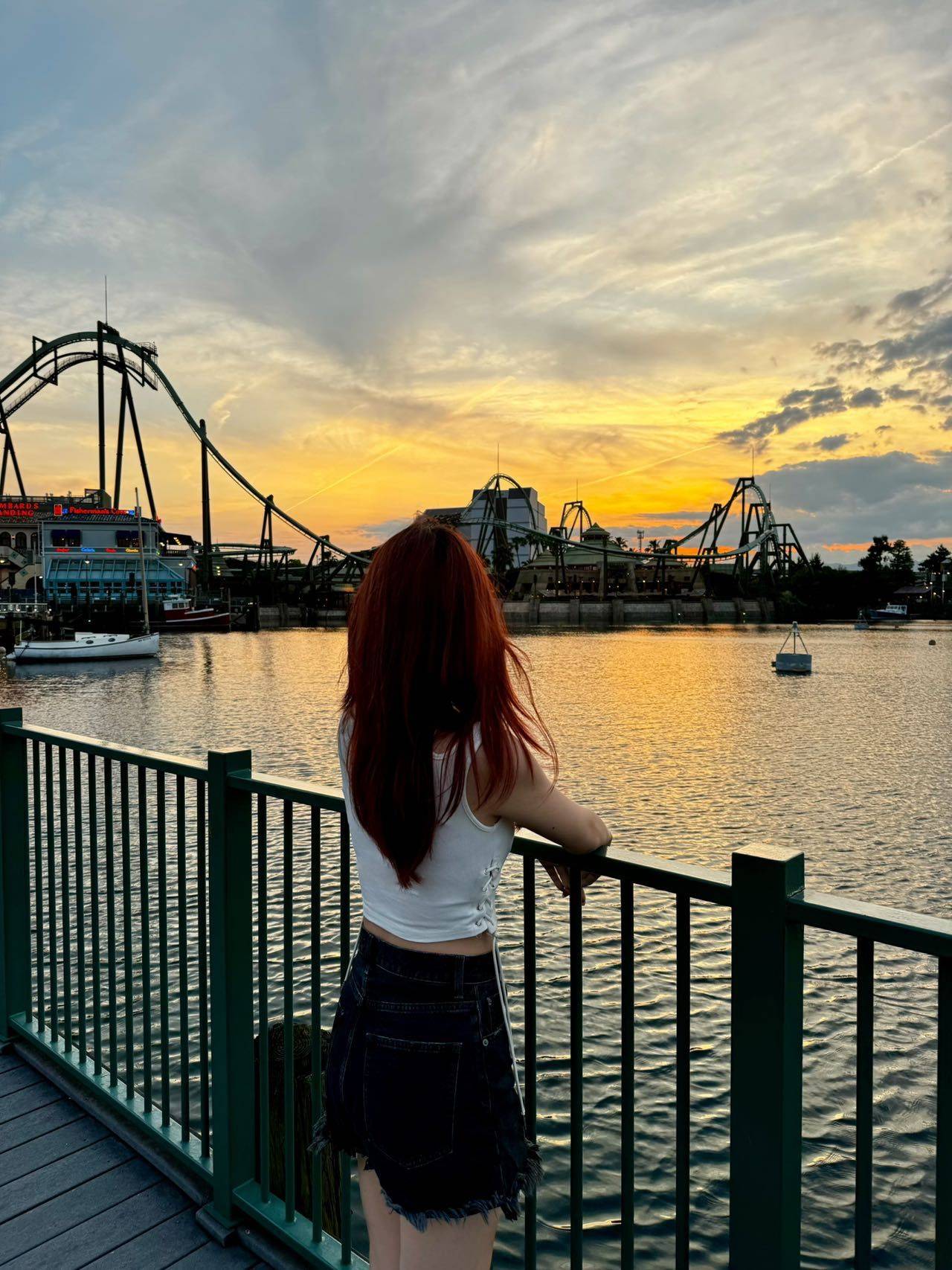 杰尼