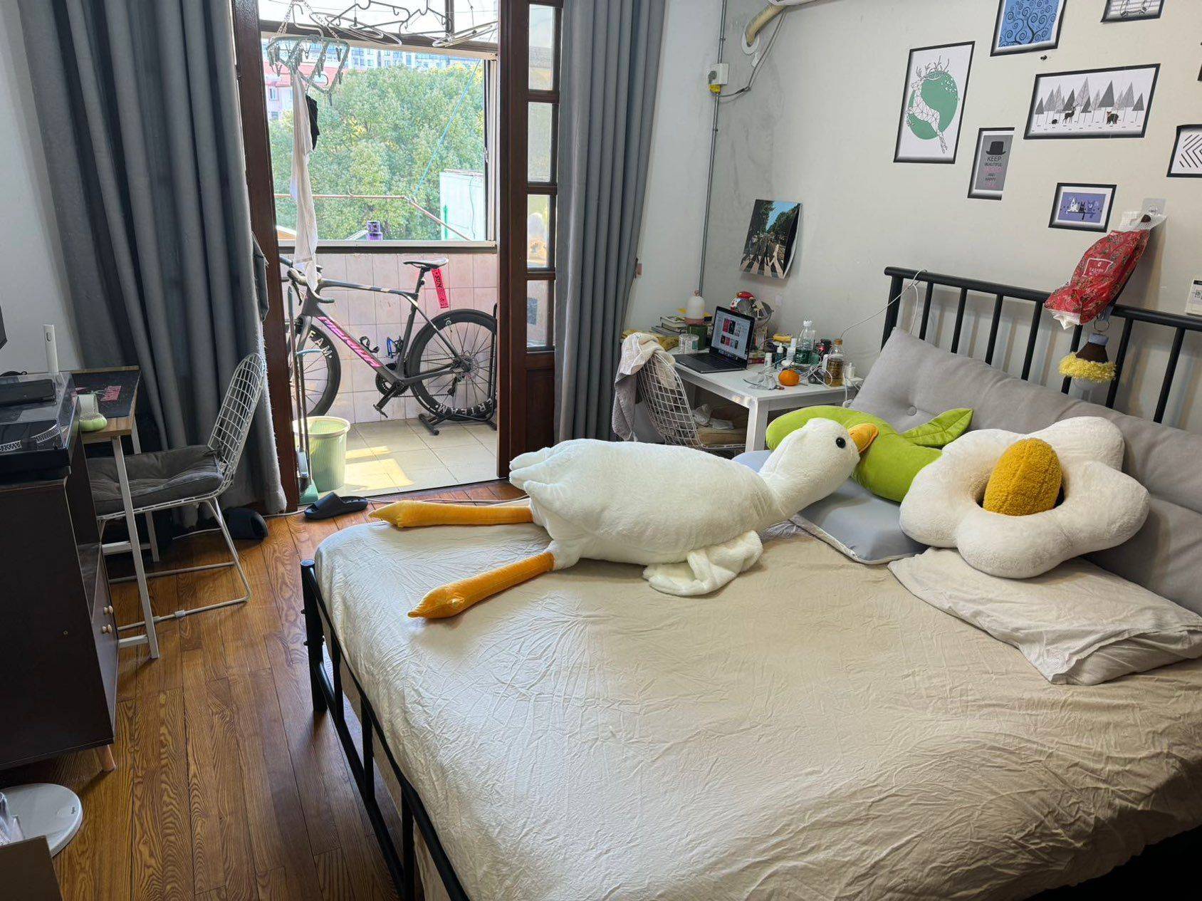 Shanghai-Minhang-Cozy Home,Clean&Comfy,No Gender Limit