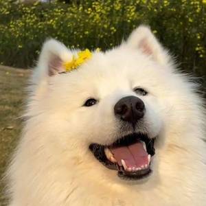 我在睡懒觉.
